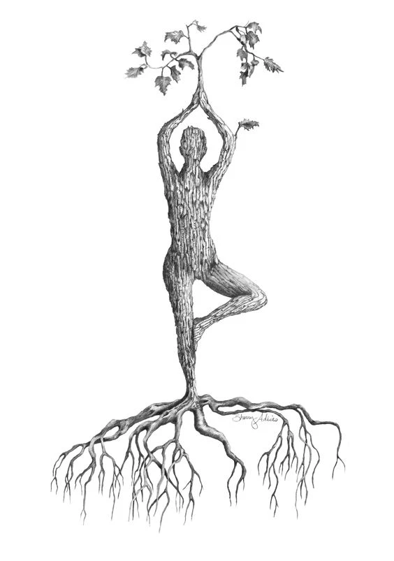 Equilibre Terre-Ciel Equilibre Terre-Ciel